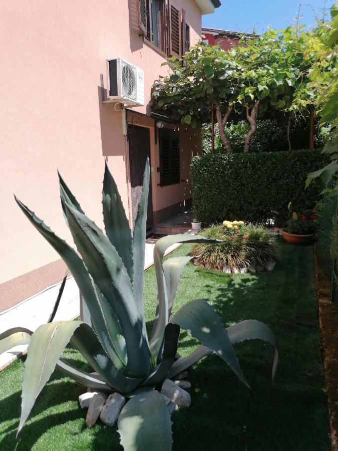 Apartman Bruna Novigrad Istria エクステリア 写真